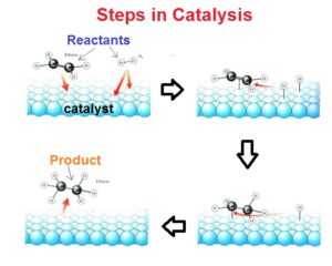 catalysis